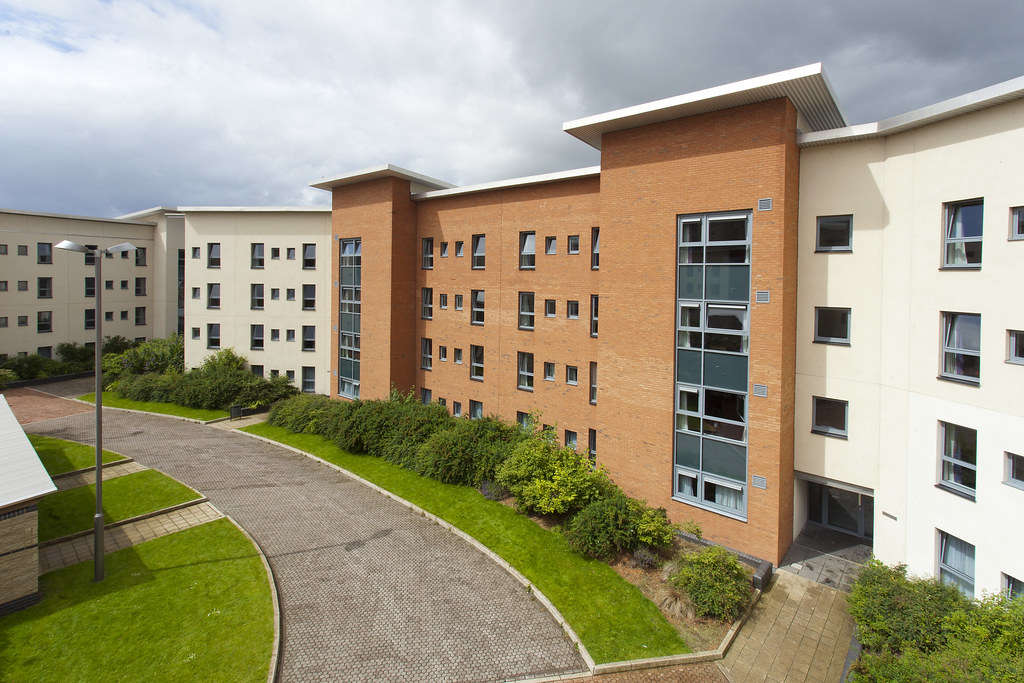 32828159398_25e72d6ece_b