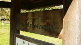 drama_sustainability_arboretum1