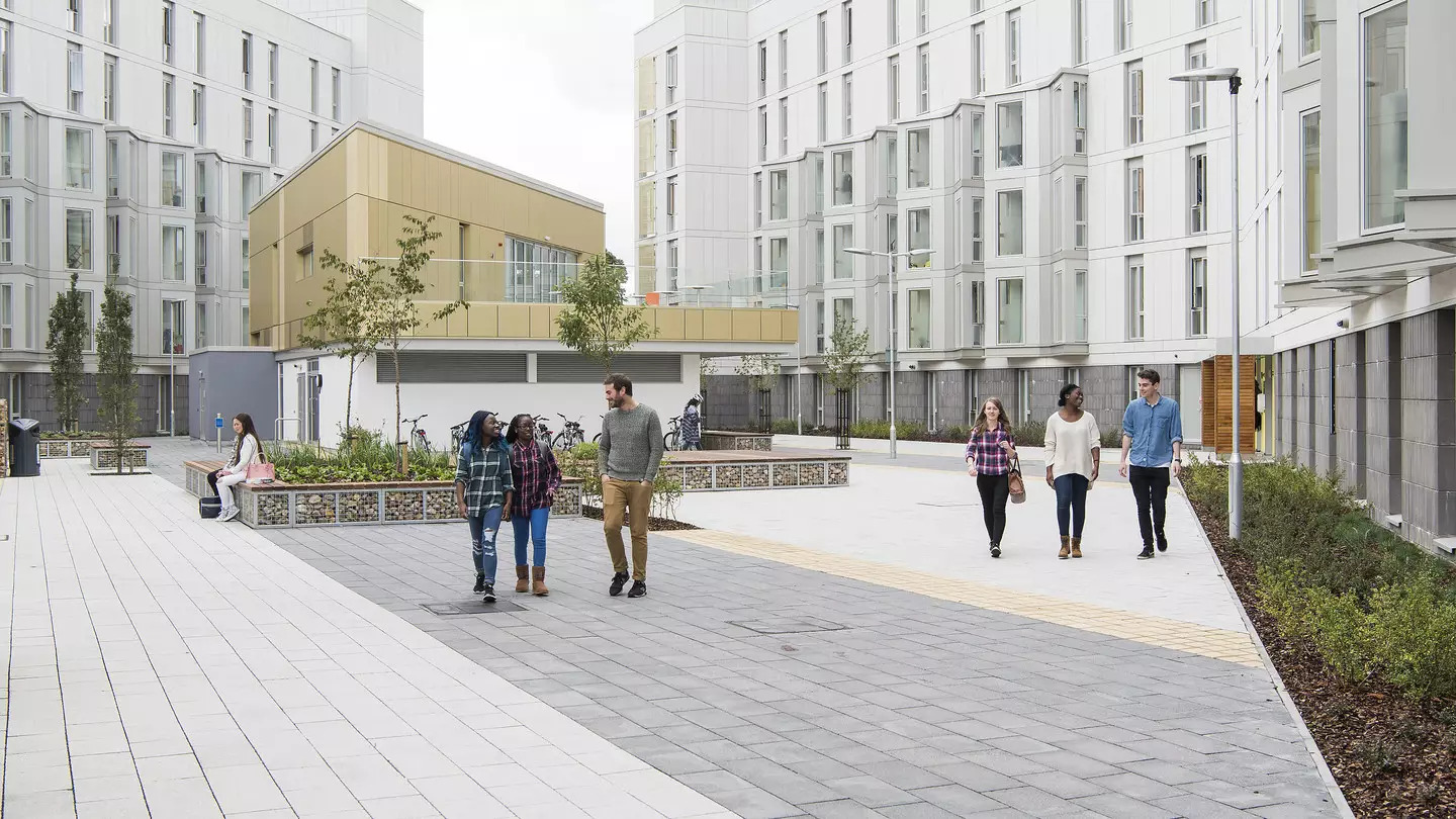 filters_quality_70_ (2)